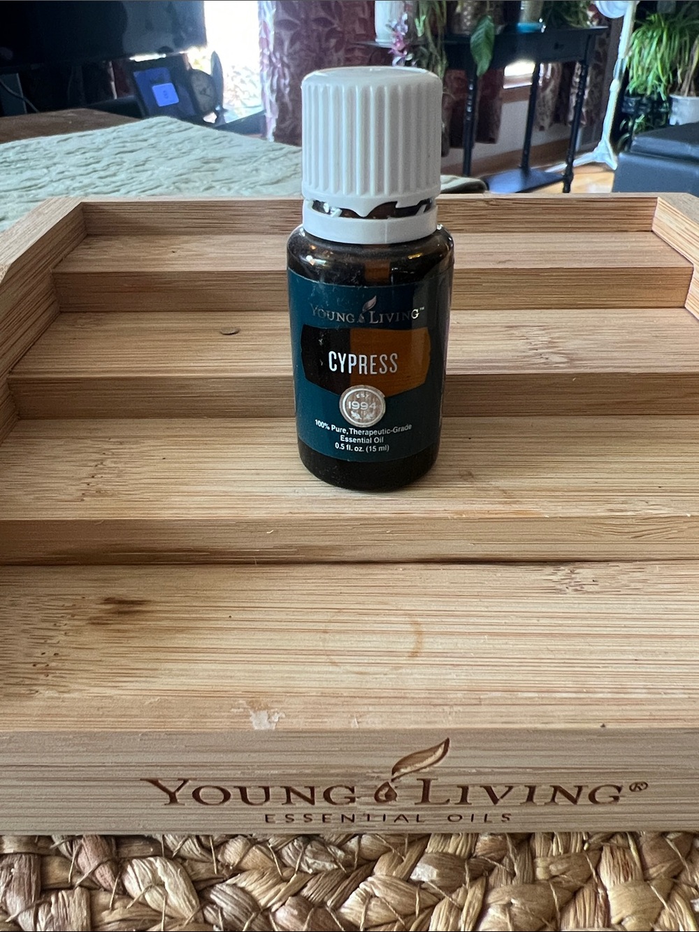Young Living Cypress Essential Oil - 15 ml - Dark Amber Bottle with White Cap